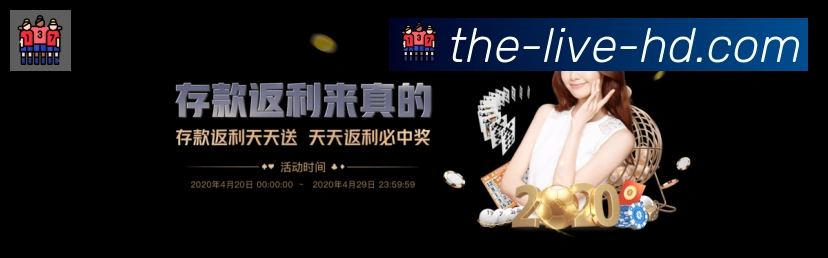 互动解说服务